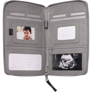 Baby Beginnings Record Book