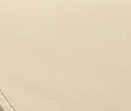 Doona Infant Car Seat and Stroller with Base